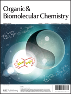 3D structure of a heparin mimetic analogue of a FGF-1 activator. A NMR and molecular modelling study