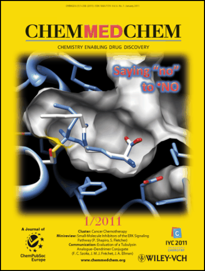 Symmetry Complementarity‐Guided Design of Anthrax Toxin Inhibitors Based on β‐Cyclodextrin: Synthesis and Relative Activities of Face‐Selective Functionalized Polycationic Clusters