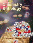 How the Local Geometry of the Cu-Binding Site Determines the Thermal Stability of Blue Copper Proteins