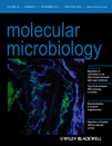 Mutational analysis of the inactivating factors, IF7 and IF17 from Synechocystis sp. PCC 6803: critical role of arginine amino acid residues for glutamine synthetase inactivation