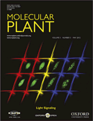 Mitochondrial Sulfide Detoxification Requires a Functional Isoform O-Acetylserine(thiol)lyase C in Arabidopsis thaliana