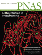 Dynamics of transcriptional start site selection during nitrogen stress-induced cell differentiation in Anabaena sp. PCC7120