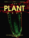 Arabidopsis S-Sulfocysteine Synthase Activity Is Essential for Chloroplast Function and Long-Day Light Dependent Redox Control