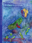 Heterocyst differentiation: from single mutants to global approaches