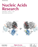 TIA-1 RRM23 binding and recognition of target oligonucleotides