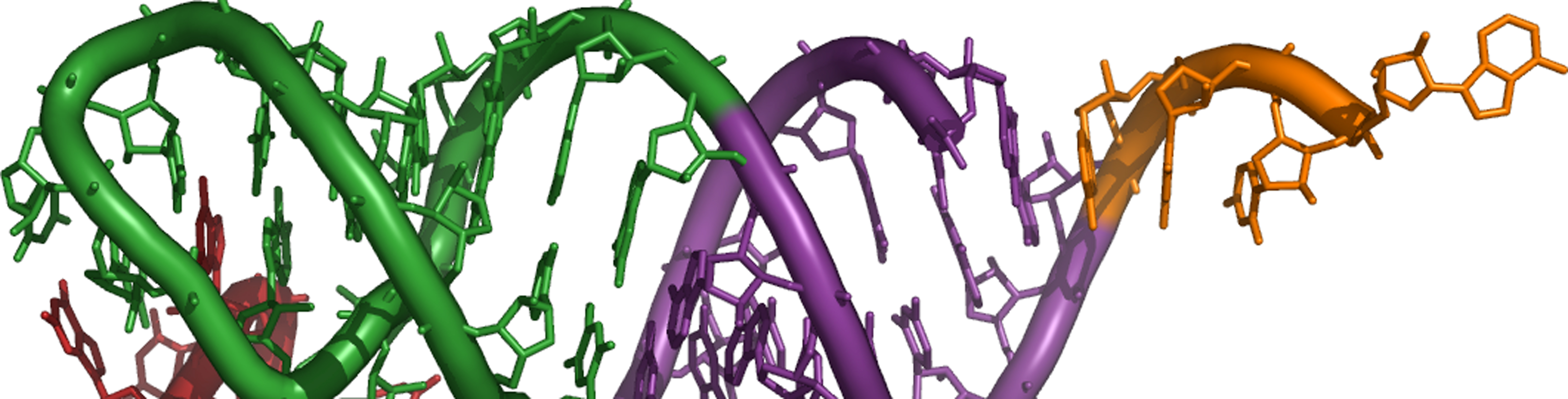 El Catedrático Agustín Vioque (IBVF) dirigirá un curso sobre RNA en la Universidad Internacional de Andalucía