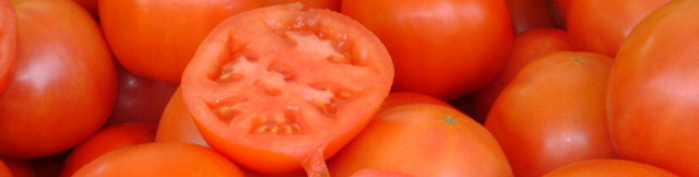 Investigadores del ICMS patentan plástico biodegradable procedente de la piel del tomate